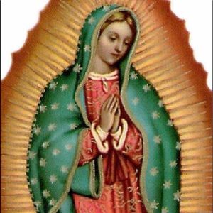 Meet your Posher, Rosa